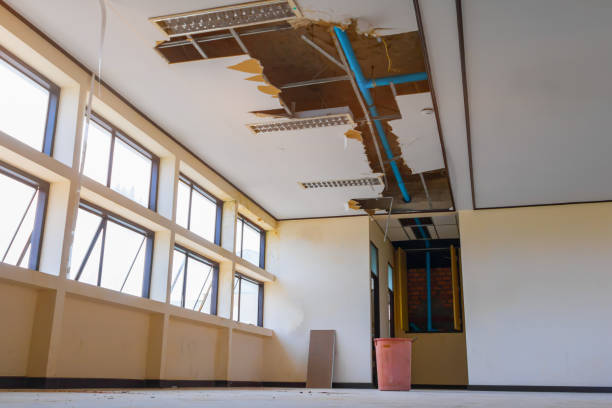Best Carpet water damage restoration  in Batesville, TX
