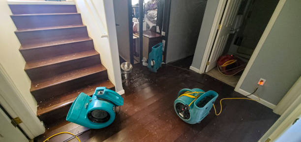 Best Residential water damage restoration  in Batesville, TX