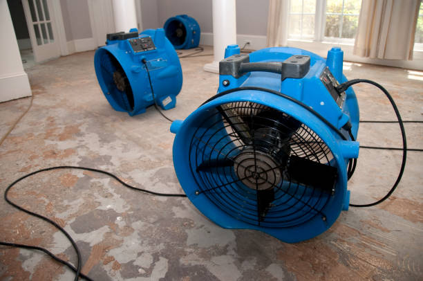 Best Sewage cleanup and water damage restoration  in Batesville, TX